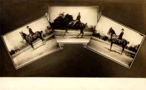 Horse Jockey Auto Real Photo