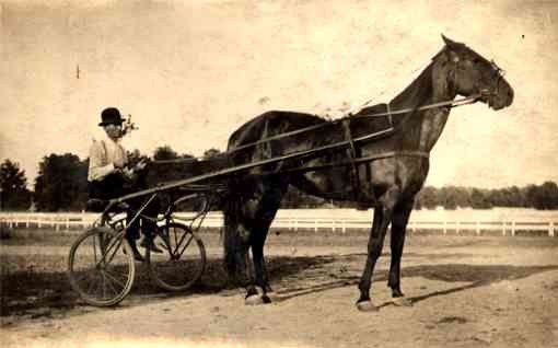 Harness Racing Real Photo