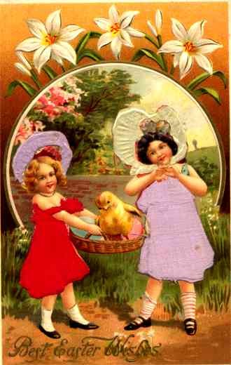 Easter Chick Cammomile Silk NY
