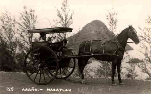 Horse-Drawn Wagon Mexico Real Photo