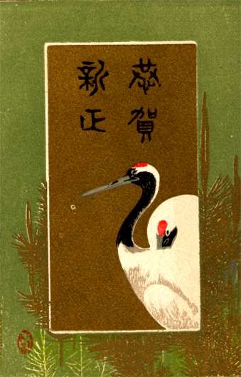 Japanese Stork