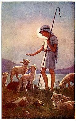 Boy & Lambs Tarrant