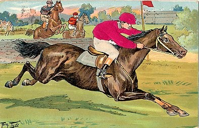 Horse Racing Silk