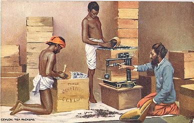Tea Packing Ceylon Tuck