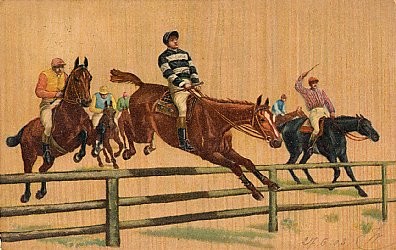 Horse Racing Jumping