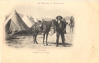 South Africa Boer Horse & Cowboy