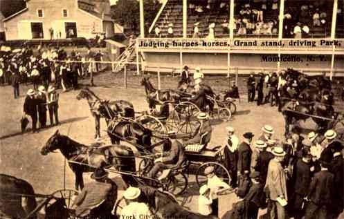 Monticello Harness Horses NY Postcad