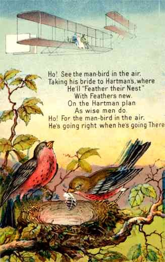 Wright Biplane and Birds Poem