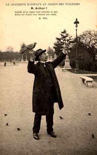 Paris Man with Pigeons