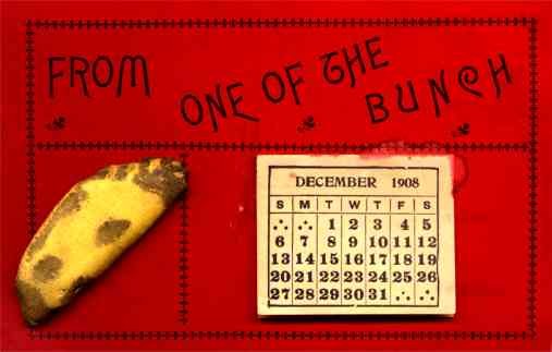Banana Calendar 1908 Novelty