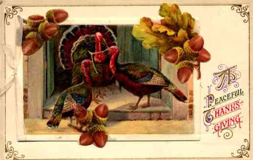 Winsch Turkey Thanksgiving Novelty
