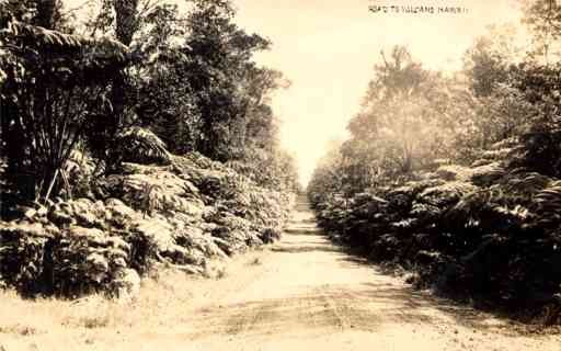 Hawaii Volcano Road Real Photo