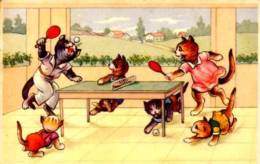 Ping Pong Cats Humorous Belgian