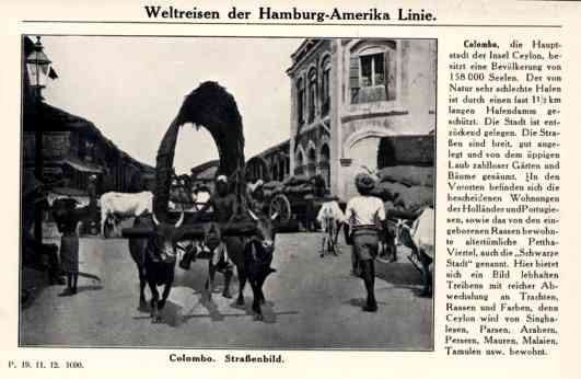 Hamburg-America Line Ceylon Colombo