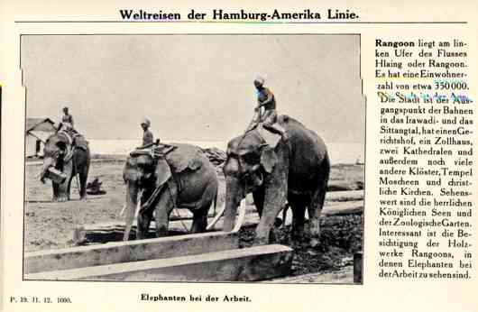 Ship Hamburg-America Line India