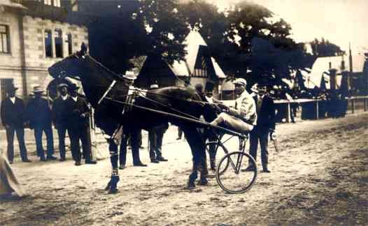 Harness Racing Jockey Real Photo