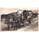 Nevada Donkey-Drawn Wagon on Road RPPC