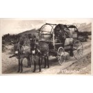 Nevada Donkey-Drawn Wagon on Road RPPC