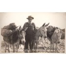 Nevada Desert Loaded Donkeys RPPC