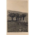 Palestine Israel Women Carrying Loads of Grass RPPC