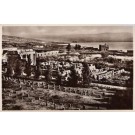 Palestine Synagogue Capharnaum Ruins RPPC