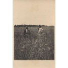 Palestine Israel Grain Field Farmers RPPC