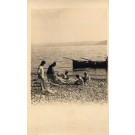 Palestine Israel Fishermen Fixing Net RPPC