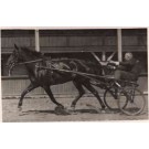 Harness Racer Real Photo Sports