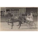 Harness Racers Real Photo Sports