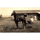 Harness Racer by Barn RP