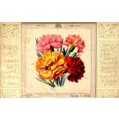 Silk Carnations Novelty