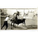 Mexican Bull-Fighting Real Photo