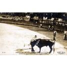 Mexico Bull Fighting Real Photo