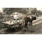 Mexico Farmers RPPC by Desentis