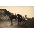 Harness Racer Hasse Tokyo 1931 Real Photo