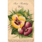 Flower Pansy Birthday Hand-Painted by Teeth