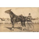 Harness Racer on Track Real Photo