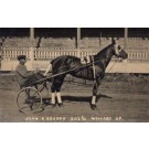 Harness Racer Braden Real Photo