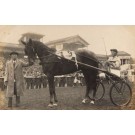 Harness Racer Tokyo Race Track Real Photo