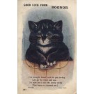 Wain Cat Bognor Views Poem Novelty Fold-Out