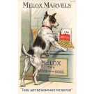 Dog Watching Dog Food Advert Melox Marvels