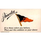 Sports Princeton Banner Embroidered Silk Novelty