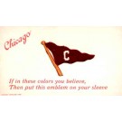 Sports Chicago Banner Embroidered Silk Novelty