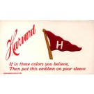 Sports Harvard Banner Embroidered Silk Novelty