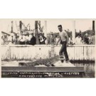 Alligator Wrestler Coppinger Real Photo