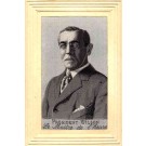 Portrait of President Wilson Woven Silk