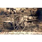 Black by Bull-Drawn Cart Real Photo