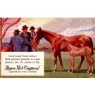 Advert Clothes Group by Horse & Colt