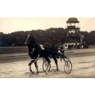 Harness Racer Real Photo