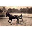 Harness Racer Leyburn in Italy, Faenza 1911